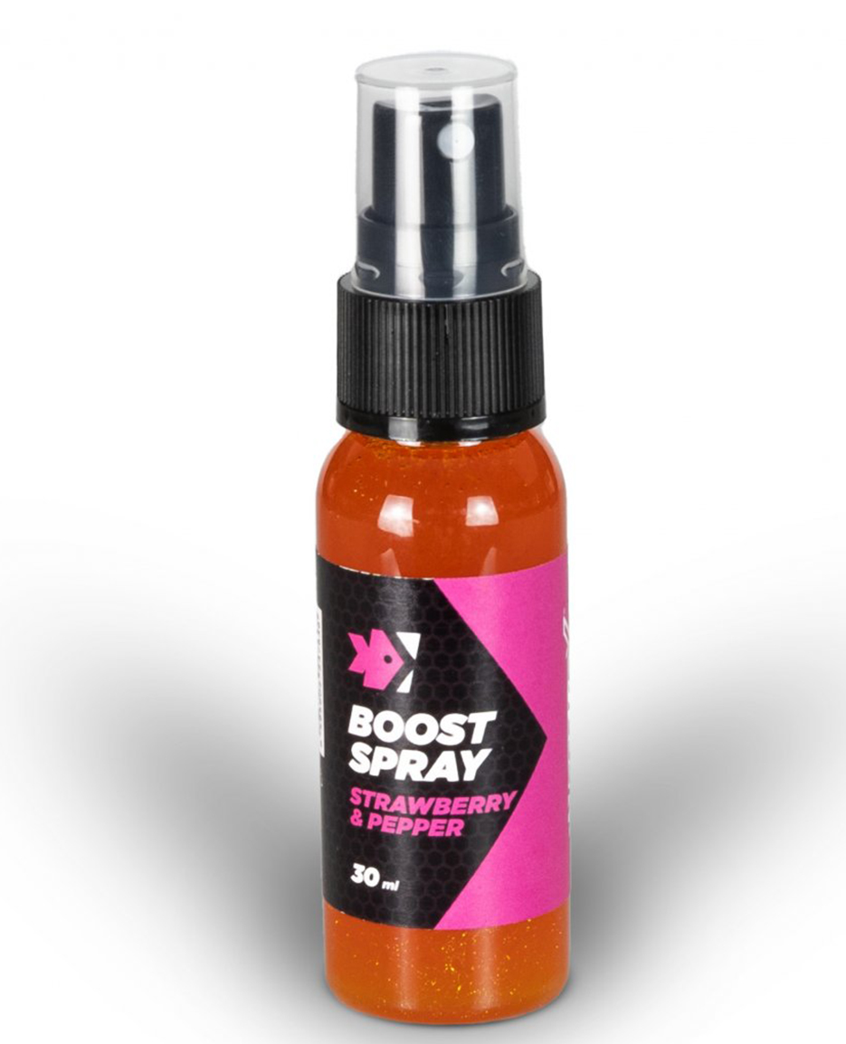 Sprej FEEDER EXPERT Boost Spray