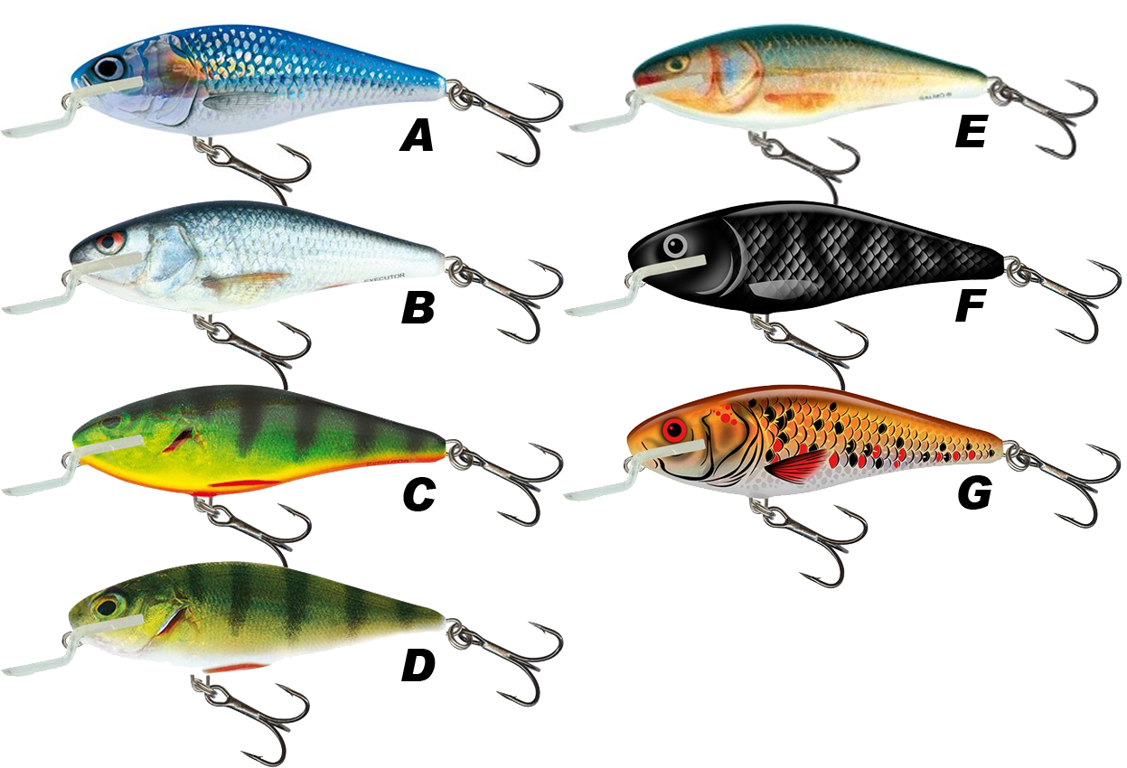 SALMO Executor Shallow Runner 12cm