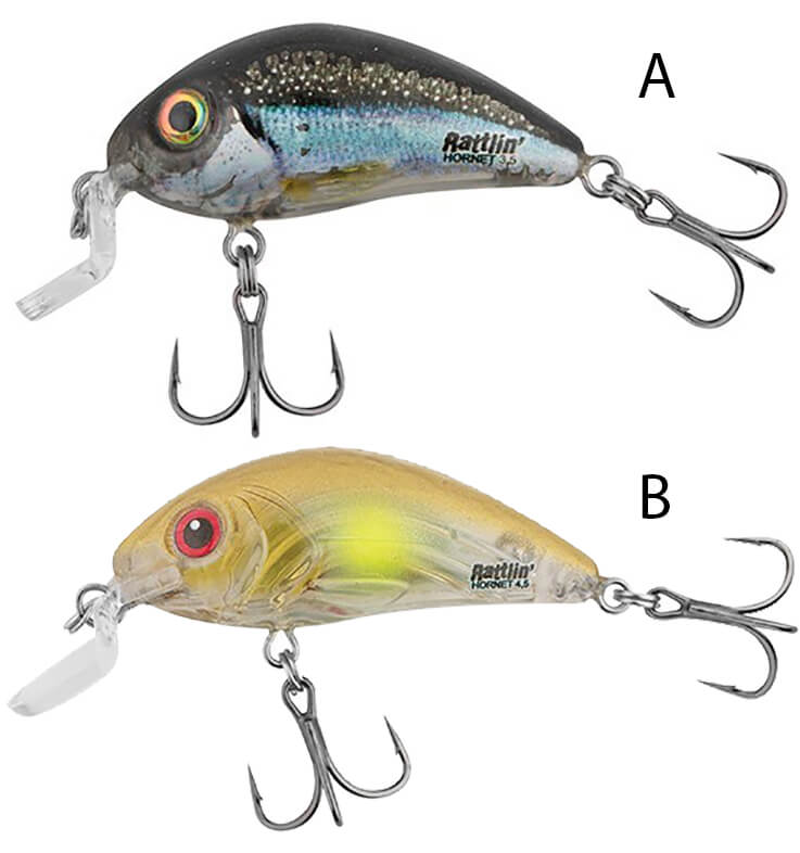 SALMO Hornet Shallow Runner 3,5 cm